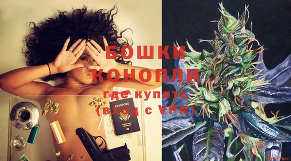 твердый Белокуриха