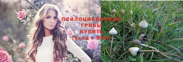 твердый Белокуриха