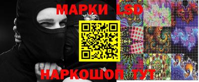 шишки Донской