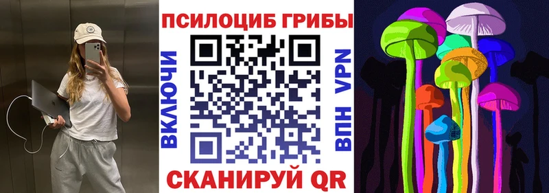 Галлюциногенные грибы Psilocybe  где продают   Лыткарино 