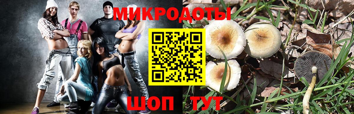 Лыткарино  Псилоцибиновые грибы мицелий  Галлюциногенные грибы Psilocybe  Вход с VPN 